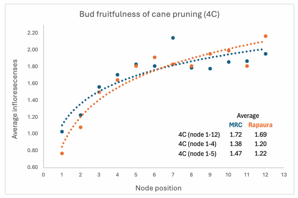 Scatter plot showing average inflorescence per node position for cane pruning (4C) at two sites, MRC (blue) and Rapaura (orange). MRC values are generally higher. Averages for three node ranges are also listed.